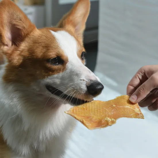 Pet Snacks Pet Supplies OEM Innovative Organic Dog Chewhalf Chicken Jerky Twist Pet Supply