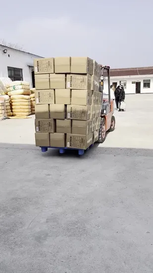 2021 New Plush Talk Back Toy Hedgehog 