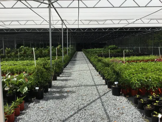 Economical landscaping Shade House with insect net cover