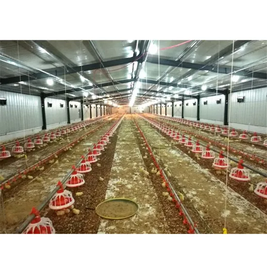 Hot Sale Mobile Easy Installation Hurricane Proof Steel Layer Eggs Chicken Hen Structure Poultry House 