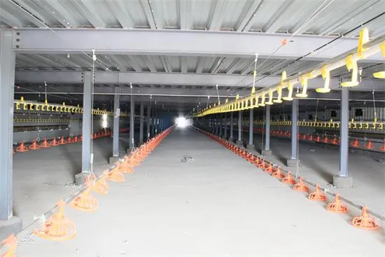 Hot Sale Automatic Egg Laying Feeding System Breeding Battery Poultry Farm Layer Broiler Birds Hen Steel Structure Chicken House 